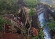 Kawanan Gajah Liar Berhasil Digiring Masuk ke Hutan Setelah Rusak Rumah Warga di Tanggamus
