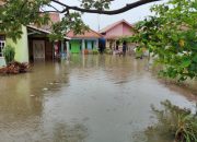 Banjir Rob Terjang Indramayu, Ratusan Rumah Terendam, Warga Mengungsi