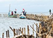 Menteri KKP Minta Pembongkaran Pagar Laut Dihentikan Sementara