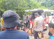 Kronologi Ditemukannya Petani Kopi di Lampung Barat yang Tewas Diterkam Harimau