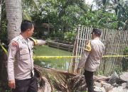 Warga Geger Bocah 5 Tahun di Pringsewu Tewas Tenggelam di Kolam Ikan