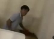 Pria Ini Dipenjara Perkara Nabrak Bebek karena Pemilik Minta Ganti Kambing