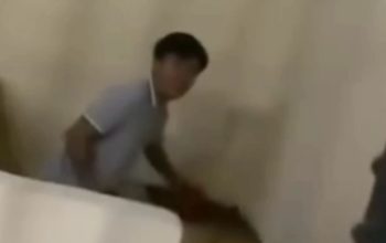 Pria Ini Dipenjara Perkara Nabrak Bebek karena Pemilik Minta Ganti Kambing