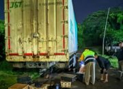 Disembunyikan di Sasis Truk, Penyelundupan 982 Ekor Burung Liar Digagalkan di Bakauheni