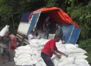 Truk Muatan Tepung Gandum Terperosok di Jalan Lintas Liwa – Krui, Lalin Macet Panjang
