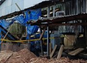 Pekerja Pabrik Pengolah Kayu di Lampung Tengah Tewas Usai Tergiling Mesin Chipper
