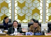 Irham Jafar Perjuangkan Petani Singkong Lampung, Fasilitasi RDP ke Komisi IV DPR RI