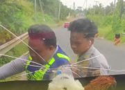 Dua Oknum Dishub Lampung Tengah yang Videonya Viral Akui Palak Sopir