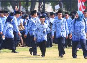 PPPK Paruh Waktu Bernapas Lega, Kemendagri Keluarkan Surat ke Pemda