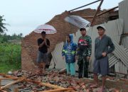 Warga Palas Lampung Selatan Tewas Tertimpa Pohon Tumbang Saat Berteduh di Gubuk