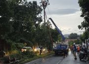 Puting Beliung Terjang Bandar Lampung, Puluhan Rumah Rusak Pohon Tumbang