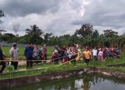 Geger! Balita di Pringsewu Lampung Ditemukan Tewas di Kolam Ikan