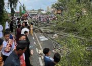 Tragedi Idul Fitri di Pemalang, Pohon Tumbang Menimpa Jemaah Salat Id, 3 Meninggal Belasan Luka luka