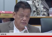 Peternak Ayam Pejantan Gelisah, DPR Minta Kebijakan Perunggasan Lebih Berpihak