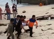 Pengunjung Nyaris Tenggelam di Pantai Labuhan Jukung Pesisir Barat