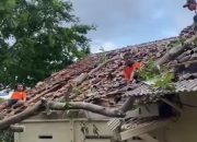 Diterjang Puting Beliung, 20 Rumah di Bandar Lampung Rusak