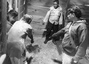 Pergoki Maling di Dalam Rumahnya, IRT di Way Kanan Tewas Bersimbah Darah