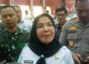 Gandeng Investor China, Pemkot Bandar Lampung Bangun Kereta Gantung
