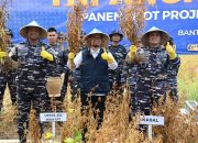 TNI AL Akan Tanam Kedelai di Bogor dan Lampung demi Ketahanan Pangan