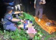 Wanita Muda di Natar Lampung Selatan Ditemukan Tewas di Perkebunan