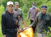 Perambah Hutan Tewas Diserang Harimau di Hutan TNBBS Lampung, Badan Hingga Kaki Hilang