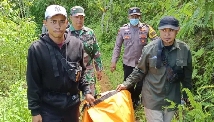 Perambah Hutan Tewas Diserang Harimau di Hutan TNBBS Lampung, Badan Hingga Kaki Hilang