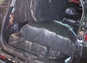Polisi Gagalkan Pengiriman 248 Paket Ganja dari Lampung ke Jakarta