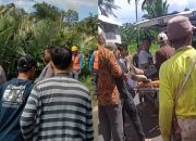 Guru di Tanggamus Tewas Tersengat Listrik Saat Pasang Kabel WiFi di Kebun Salak