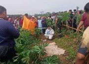 Mayat Perempuan di Kebun Singkong di Tulang Bawang, Ternyata Hamil, Sempat Pergi Sama Calon Suami