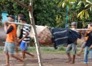 Tragis! Petani di Way Kanan Tewas Diduga Diserang Beruang Liar Saat Berkebun