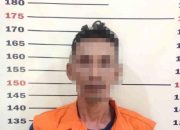 Polisi Tangkap Pencuri Sapi di Kalianda Kurang dari 7 Jam, Sapi Ditemukan di Belakang Rumah Pelaku