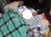 Lagi, Petani Tewas Diterkam Harimau di Lampung Barat