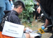 Rekonstruksi Pembunuhan di Tulang Bawang: 30 Adegan Peragakan Aksi Salman Bunuh Tya