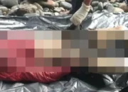 Geger, Mayat Pria Tanpa Kepala Ditemukan di Pantai Cukuh Pandan Tanggamus