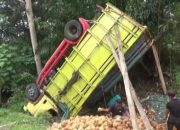 Truk Muatan Kelapa Terguling di Tanjakan Mbah Marijan Tanggamus, 2 Tewas dan 4 Luka-Luka