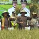 Kejati Lampung Dampingi 7.563 Petani di Lampung Timur, Cegah Rentenir dan Pungli