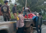 Polisi Ringkus 5 Pelaku Pencurian Puluhan Baterai PLTS di Tanggamus, Tiga Buron