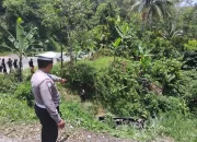Bus Rombongan Besan Asal Bogor Terjun ke Jurang di Tanggamus, Dua Tewas dan Tiga Luka Berat