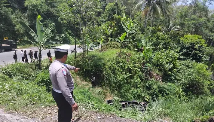 Bus Rombongan Besan Asal Bogor Terjun ke Jurang di Tanggamus, Dua Tewas dan Tiga Luka Berat